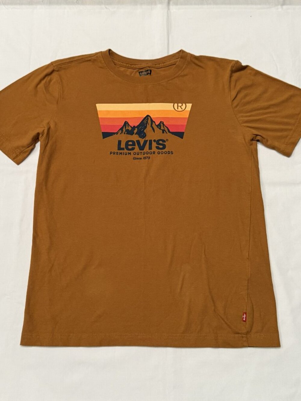 Levi's Premium Outdoor Goods Retro Mountain Graphic T-Shirt Brown Youth XL